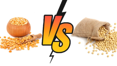 pea-protein-vs-soy-protein:-which-is-better?
